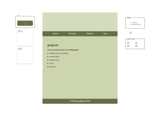 projects screenshot