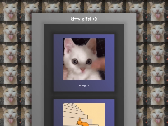 kittygifs screenshot