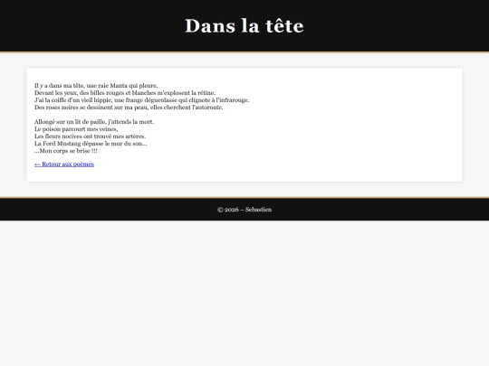 danslatete screenshot