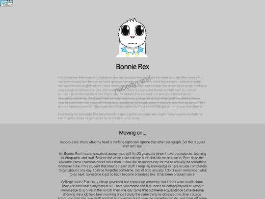bonnierex screenshot