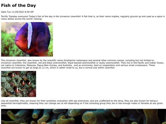 2022/Cinnamon_clownfish/Cinnamon_clownfish screenshot