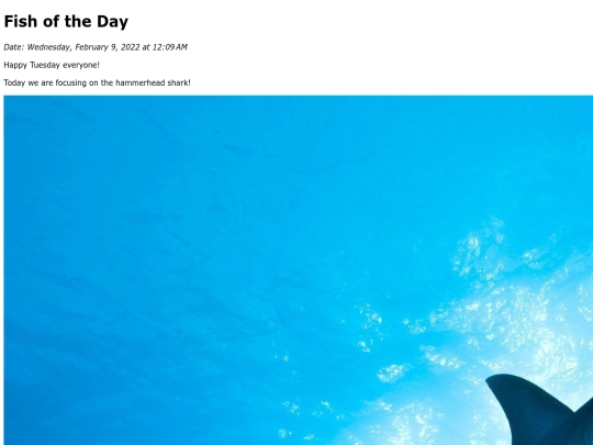 2022/February 2022/HammerheadShark/HammerheadShark screenshot