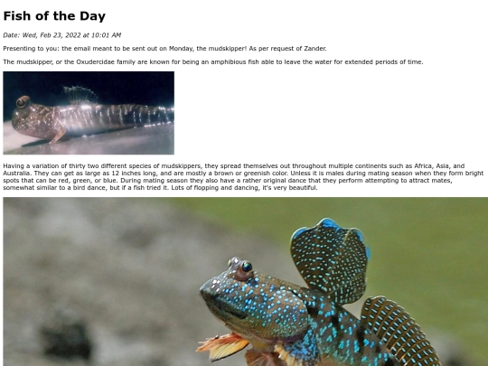 2022/February 2022/Mudskipper/Mudskipper screenshot