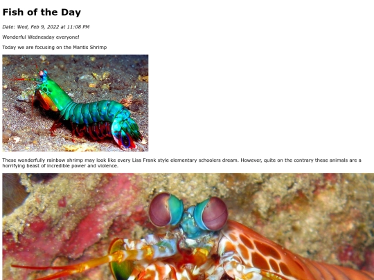 2022/February 2022/PeacockMantisShrimp/PeacockMantisShrimp screenshot