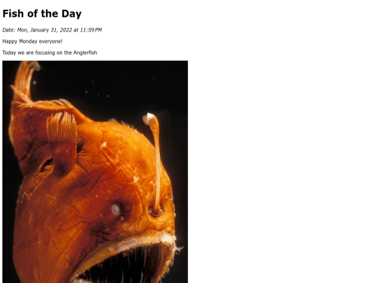 2022/January 2022/Anglerfish/anglerfish screenshot