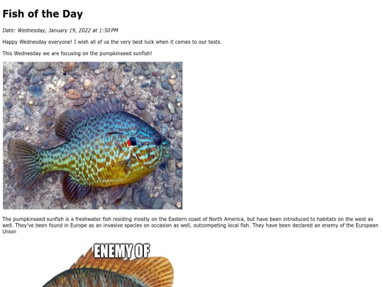 2022/January 2022/Pumpkinseed Sunfish/PumpkinseedSunfish screenshot