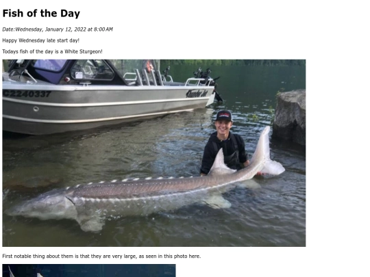 2022/January 2022/White Sturgeon/WhiteSturgeon screenshot