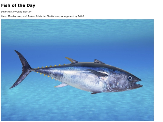2022/March 2022/BluefinTuna/BluefinTuna screenshot