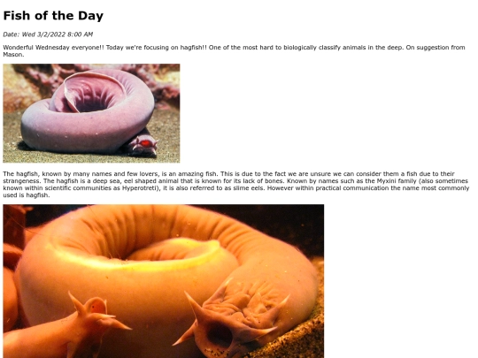 2022/March 2022/Hagfish/Hagfish screenshot