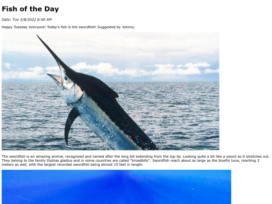 2022/March 2022/Swordfish/Swordfish screenshot