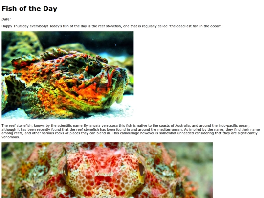 2022/Reef_stonefish/Reef_stonefish screenshot