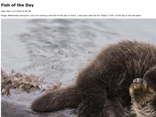 2022/seaotter/seaotter screenshot