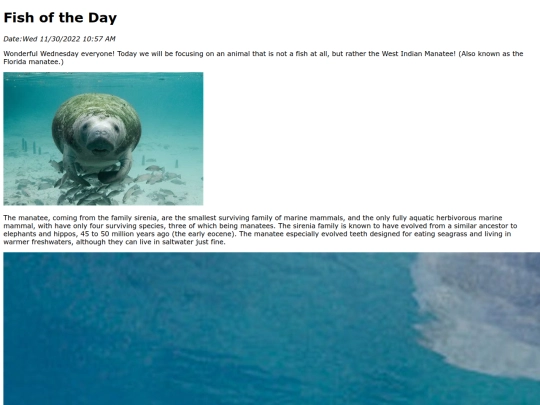 2022/west_indian_manatee/west_indian_manatee screenshot