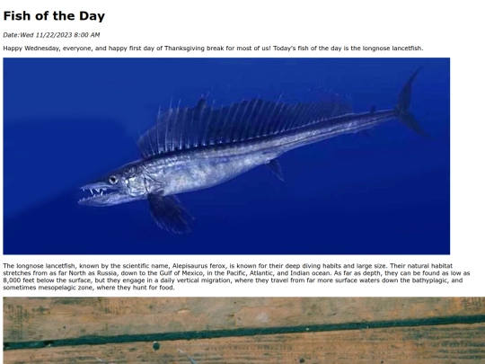 2023/11Nov22Longnose_Lancetfish/Longnose_Lancetfish screenshot
