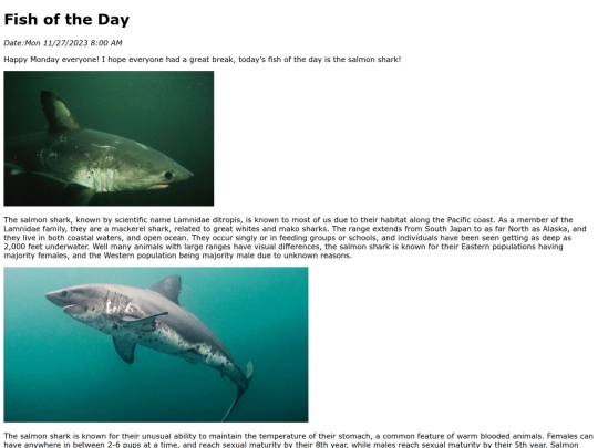 2023/11Nov27Salmon_Shark/Salmon_Shark screenshot