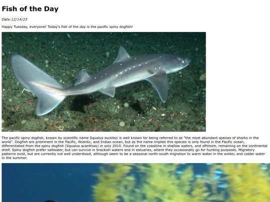 2023/12Dec14Pacific_Spiny_Dogfish/Pacific_Spiny_Dogfish screenshot