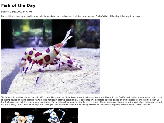 2023/12Dec15Harlequin_Shrimp/Harlequin_Shrimp screenshot