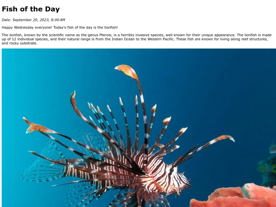 2023/9Sep20Lionfish/Lionfish screenshot