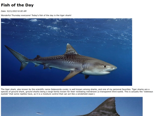 2023/9Sep21Tiger_Shark/Tiger_Shark screenshot