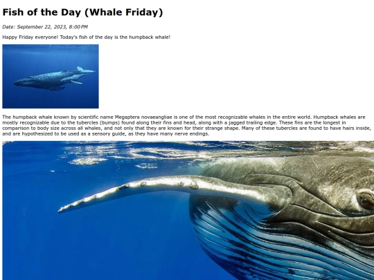 2023/9Sep22Humpback_Whale/Humpback_Whale screenshot