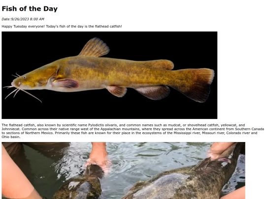 2023/9Sep26Flathead_Catfish/Flathead_Catfish screenshot