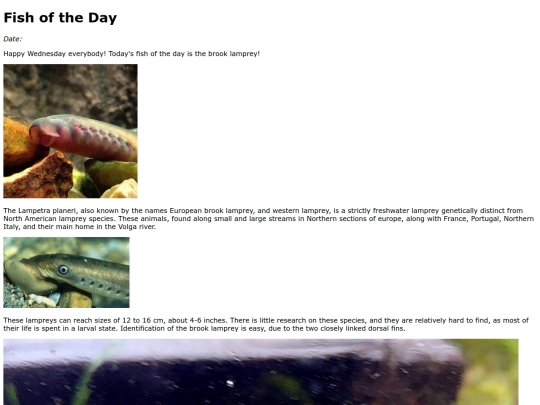 2023/9Sep27Brook_Lamprey/Brook_Lamprey screenshot