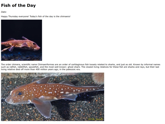 2023/9Sep28Chimaea/Chimaea screenshot