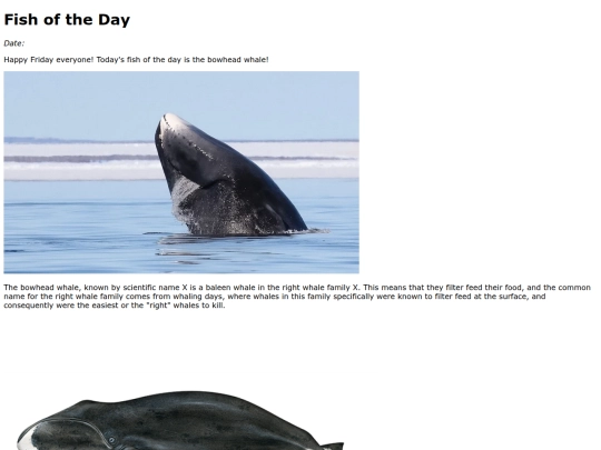 2023/9Sep30Bowhead_Whale/Bowhead_Whale screenshot