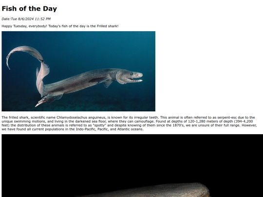 2024/fall/8-6-24 Frilled_shark/Frilled_shark screenshot