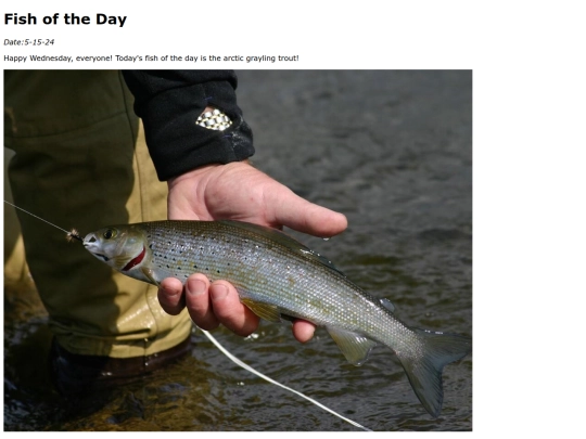 2024/may/5-15-24 Arctic_Grayling_Trout/Arctic_Grayling_Trout screenshot