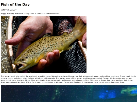 2024/may/5-21-24 brown_trout/brown_trout screenshot
