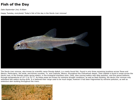 2025/DevilsRiverMinnow/DevilsRiverMinnow screenshot