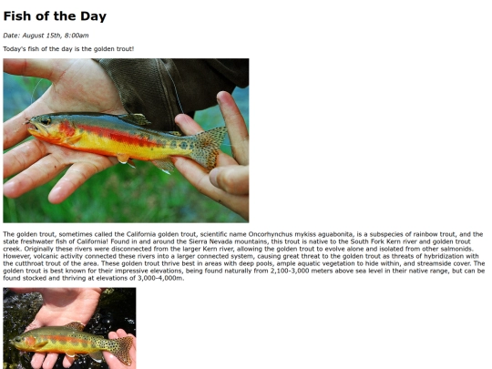 2025/GoldenTrout/GoldenTrout screenshot