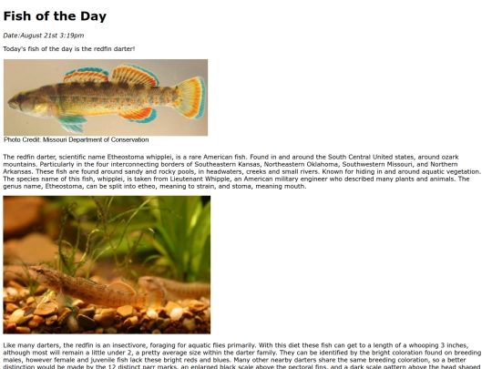 2025/RedfinDarter/RedfinDarter screenshot