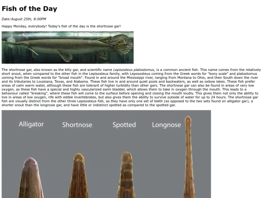 2025/ShortnoseGar/ShortnoseGar screenshot
