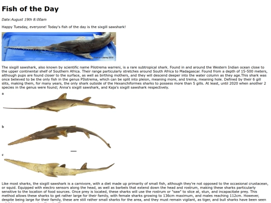 2025/SixgillSawshark/SixgillSawshark screenshot