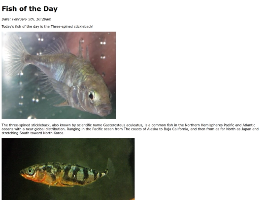 2025/ThreeSpinedStickleback/ThreeSpinedStickleback screenshot
