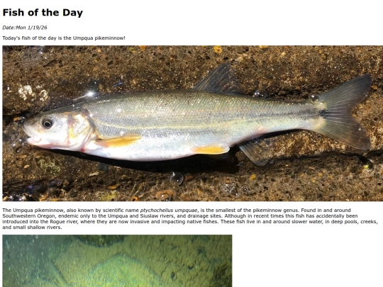 2026/1-19 Umpqua_pikeminnow/Umpqua_Pikeminnow screenshot
