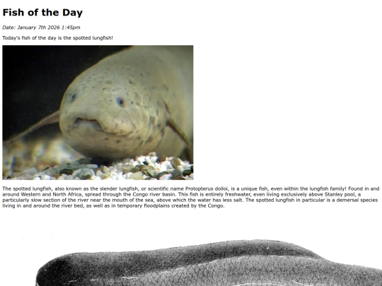 2026/1-7 spotted_lungfish/spotted_lungfish screenshot