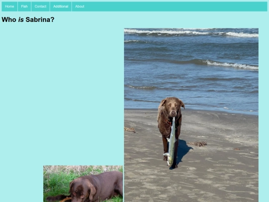 WhosSabrina screenshot