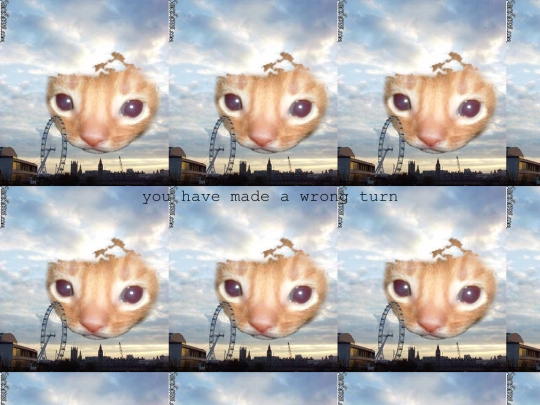 zzzzdogdamn screenshot