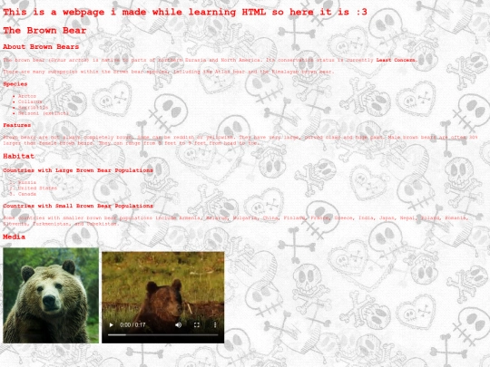 mybrownbearwebpage screenshot