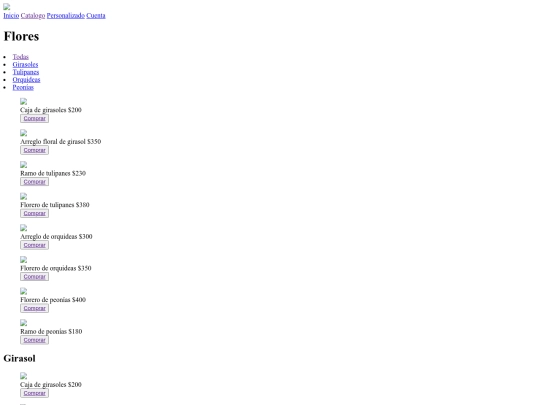 evidencia /catalogo screenshot
