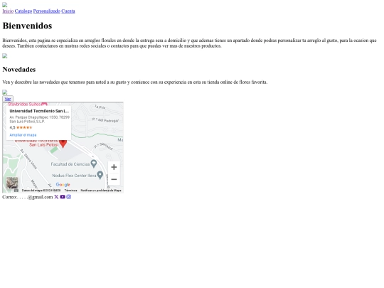 evidencia /inicio screenshot