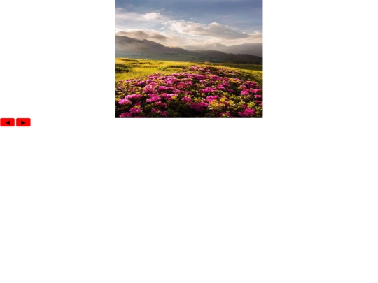 test/ok：利用层级显示图片（有点问题：按钮不在图上，上一张有问题） screenshot