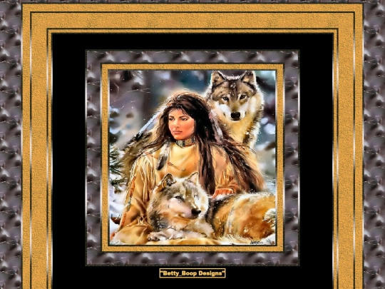 AmericanIndians/pg20 screenshot