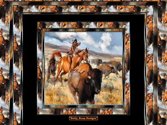 AmericanIndians/pg21 screenshot