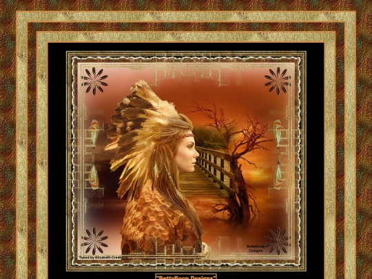 AmericanIndians/pg24 screenshot