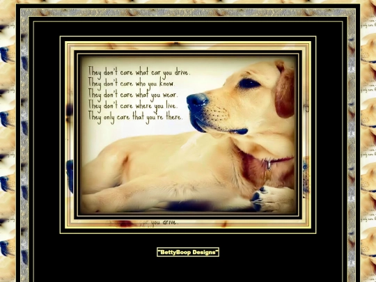 AnimalQuotes/pg1 screenshot