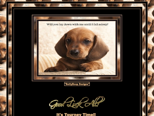 AnimalQuotes/pg2 screenshot